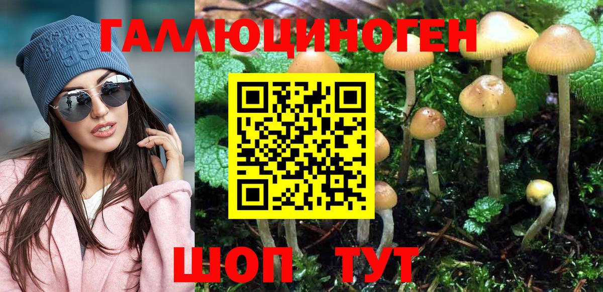 Псилоцибиновые грибы мухоморы Батайск
