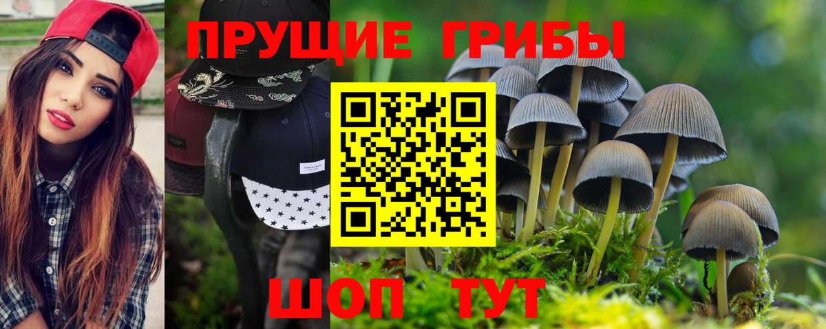 Галлюциногенные грибы ЛСД  Галлюциногенные грибы MAGIC MUSHROOMS  купить  цена  Батайск  Вход с VPN 